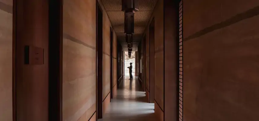 Banyan Tree Alula image